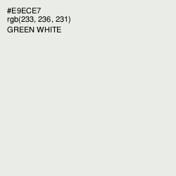 #E9ECE7 - Green White Color Image